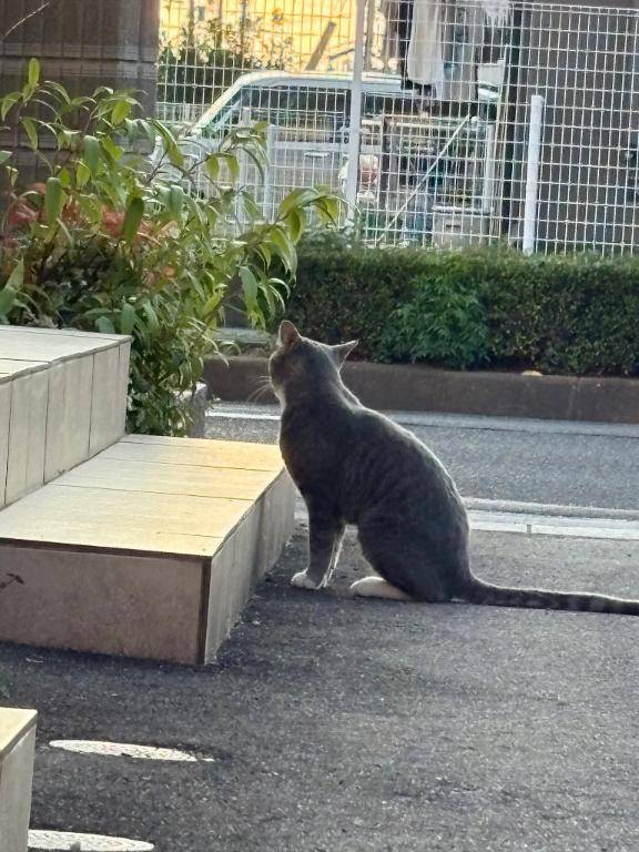 無事に8月☀️🌻
