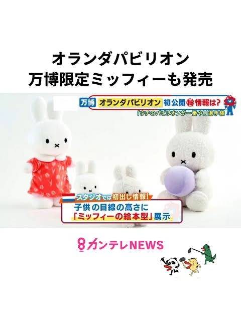 🌷大阪万博お疲れ様でした🐰🇳🇱💖