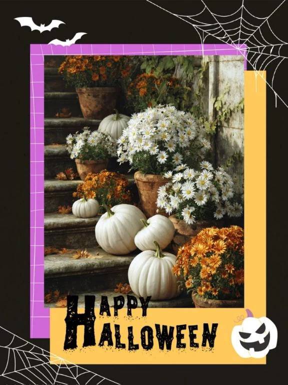 🎃 おはよ・x・🎃👻