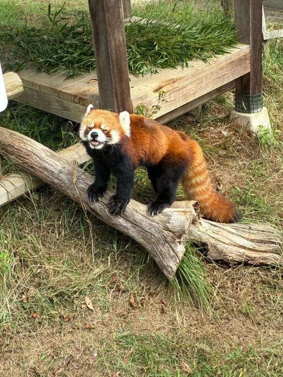 趣味‪(*´꒳`∩)‬🍀.⋆