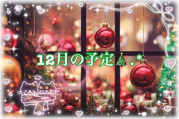 🎄12月の予定🌼*･