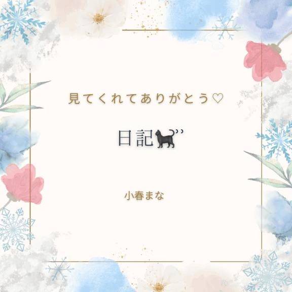 まな日記🐈‍⬛ ͗ ͗〰︎︎❤︎
