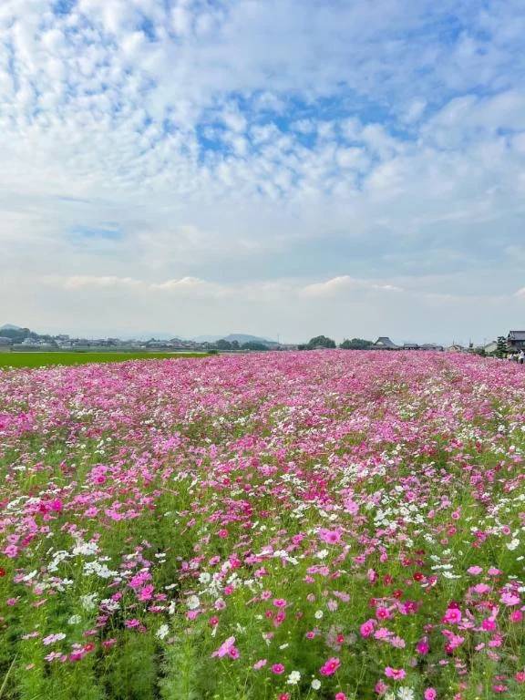 朝はまったりと🫧🎀