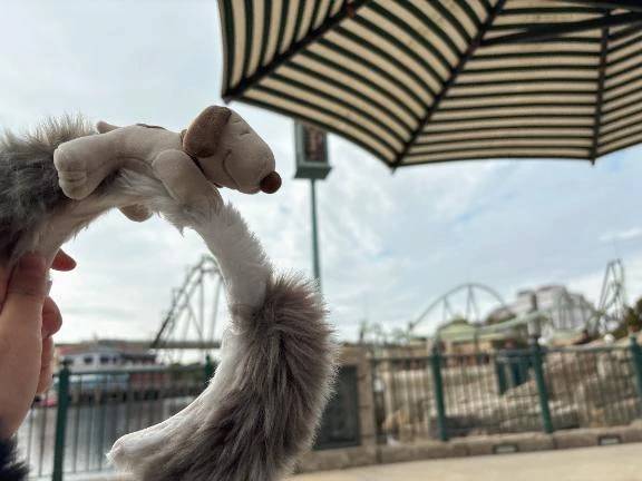 18時から❤️‍🔥