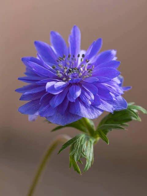 おはようございます😊