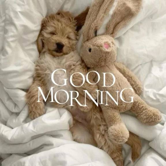 早乙女 ふわり（CUORE クオレ）