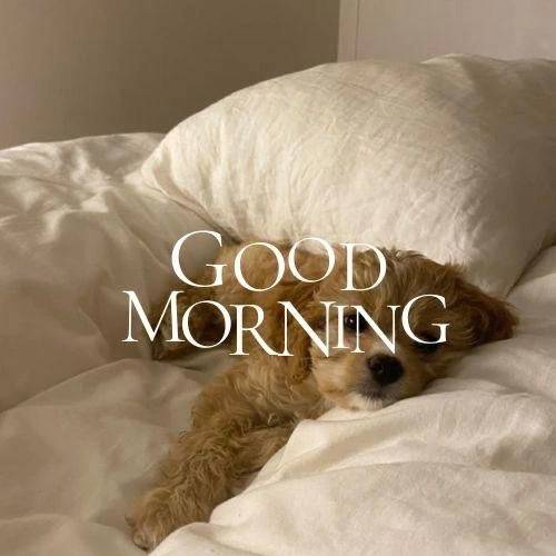 出勤前のコーヒー☕️