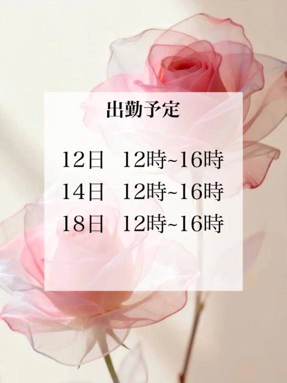 5月出勤予定🧸🍯