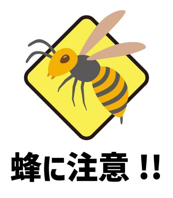 🍯ᩚ おっちょこちょいな性格なんです😣😖