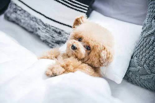 今日も出勤です😘