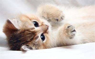 おはようございます💞