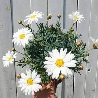 おはようございます🥰