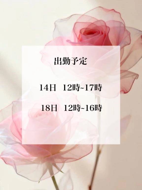 出勤予定🌷´-