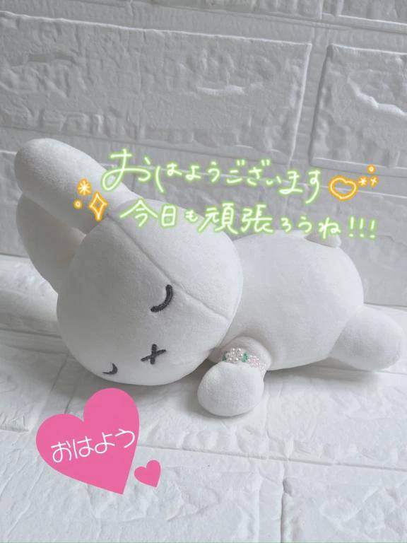 🐣‪ᩚ*̩̩̥ 出勤します🌼