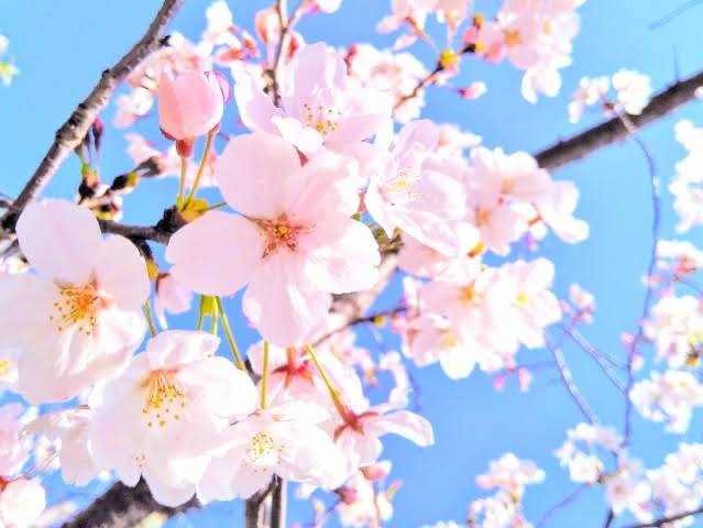 明日出勤します♡