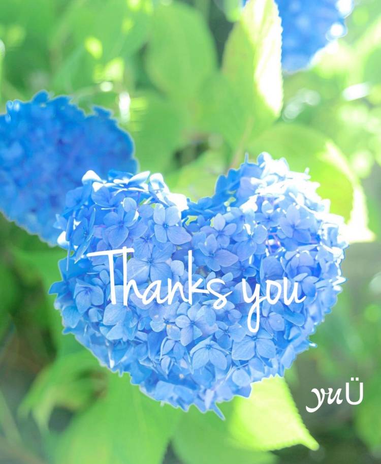 お礼です❤︎*. ゜