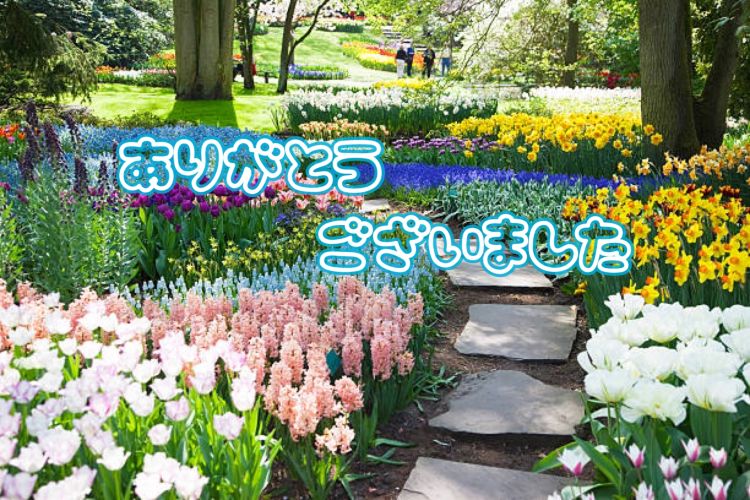 ♢2025.8.30♢御礼です🌷
