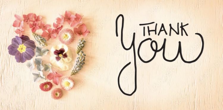 ♢2025.11.14♢お礼です🌺