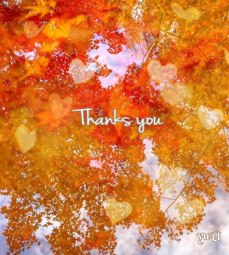 お礼です❤︎.*