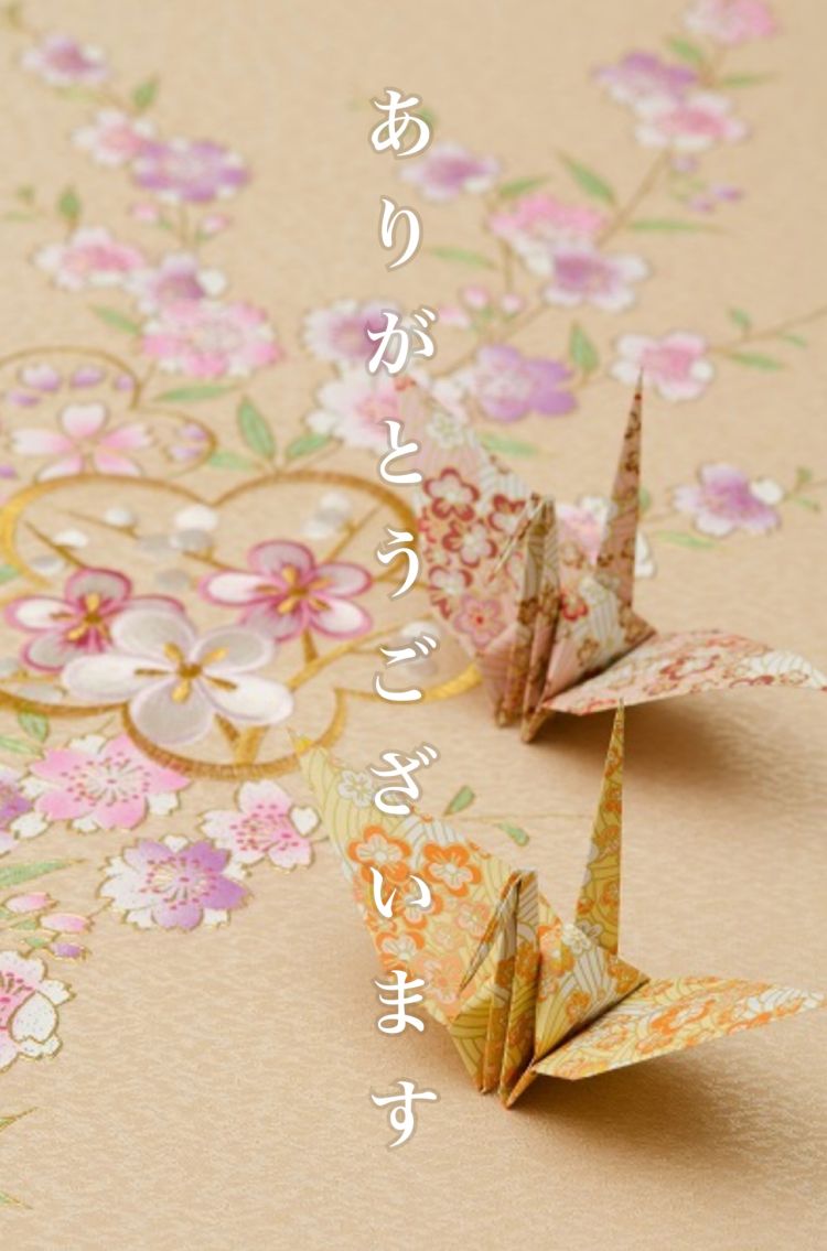 4日🔖御礼です