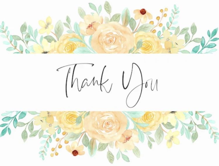 17日🔖御礼です