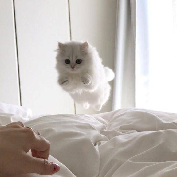 なんとなく