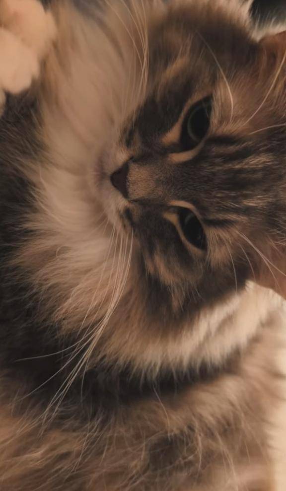 さや　完全業界未経験姫