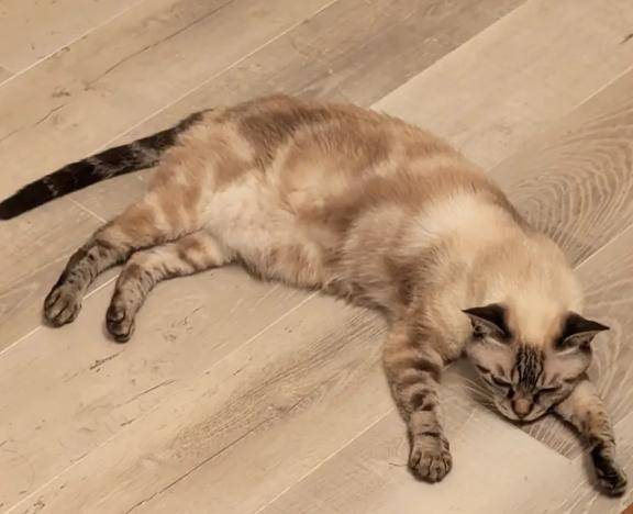 さや　完全業界未経験姫