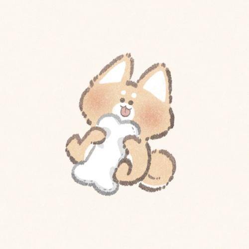 そのか　完全業界未経験姫