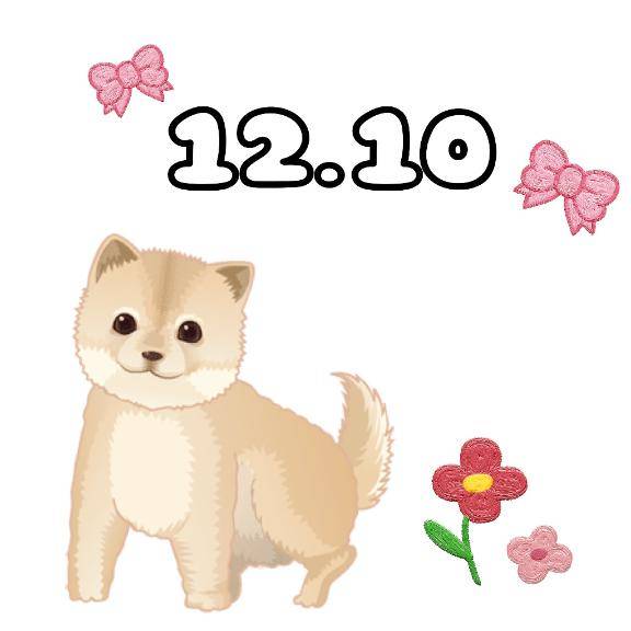 じゅん　完全業界未経験姫