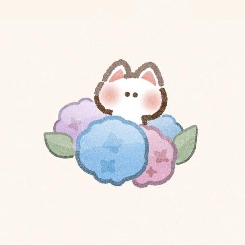 そのか　完全業界未経験姫