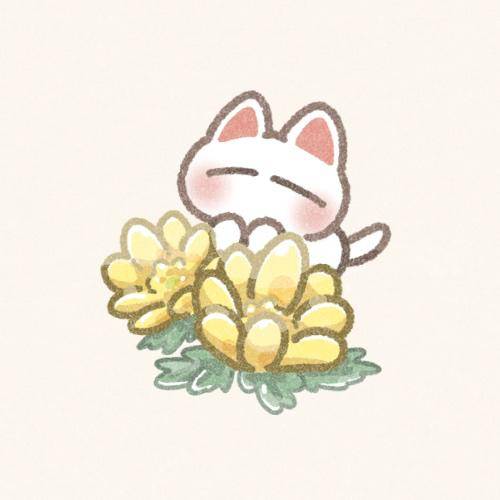 そのか　完全業界未経験姫