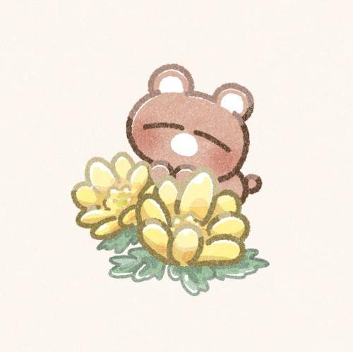 そのか　完全業界未経験姫