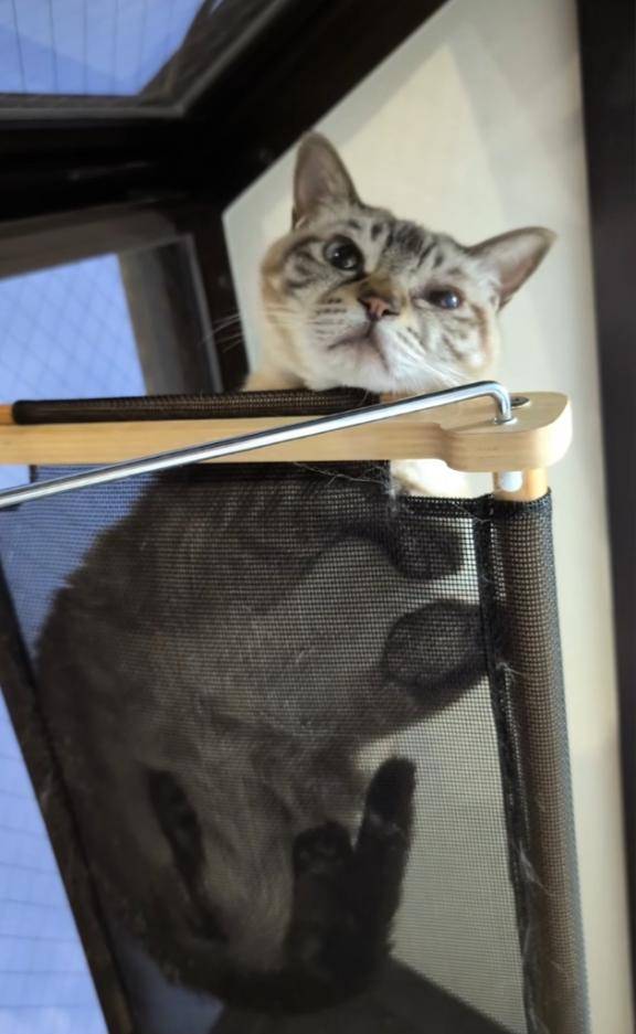 こんにちは? ??  ? ? ???