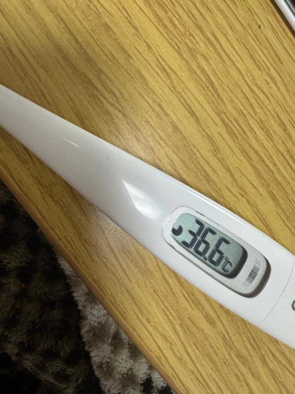 いずみ　体験入店姫