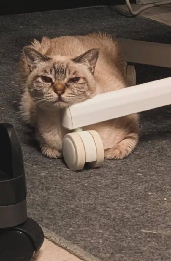 さや　完全業界未経験姫