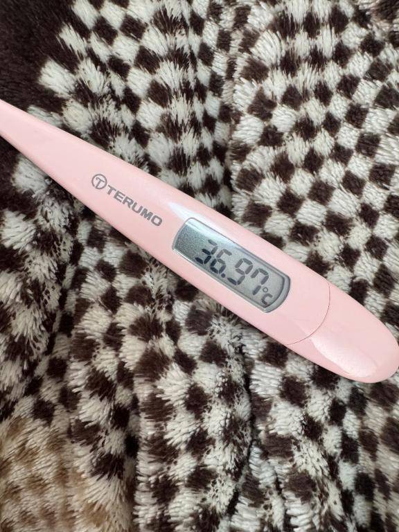 いずみ　体験入店姫