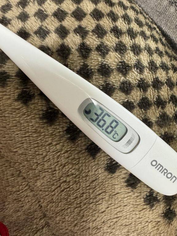 いずみ　体験入店姫