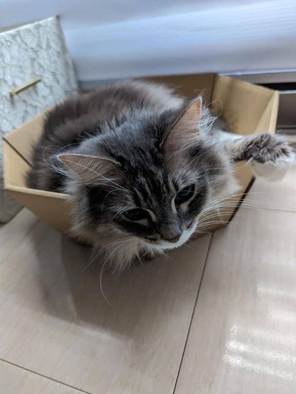 さや　完全業界未経験姫