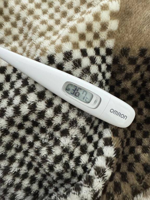 いずみ　体験入店姫