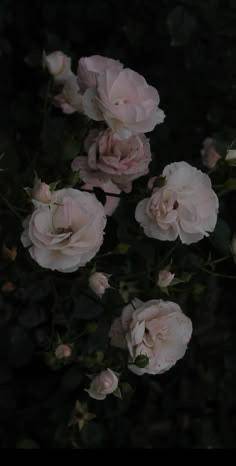 まりん　落ち着いた綺麗系美女