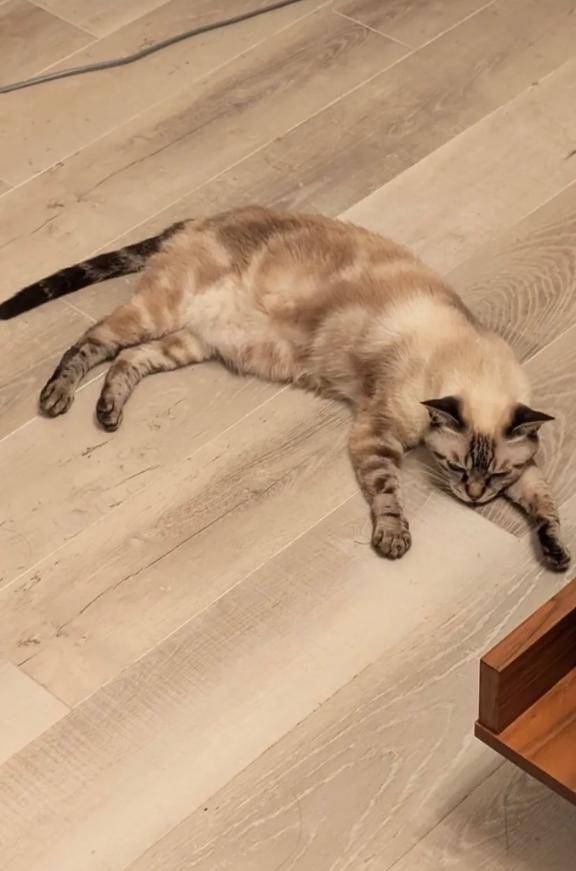 さや　愛嬌抜群エロカワ系新人