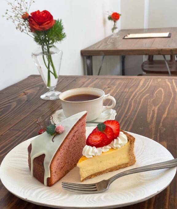 [お題]from:カンタさん