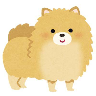 ほまれ　A級特別クラス