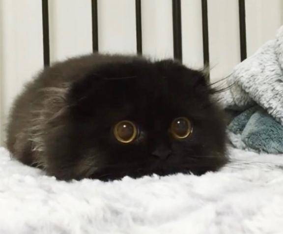 今日も出勤してます！