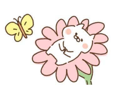 そのか　完全業界未経験姫