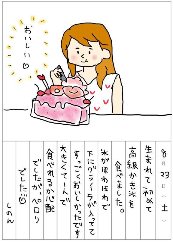 夏の絵日記?