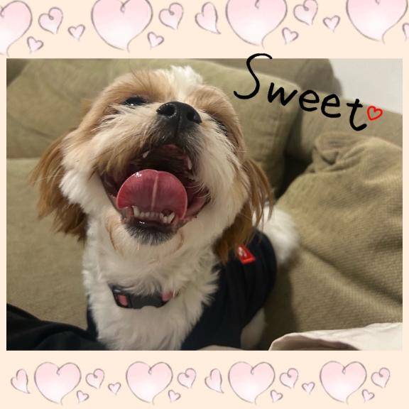 今月もありがとうございました！！