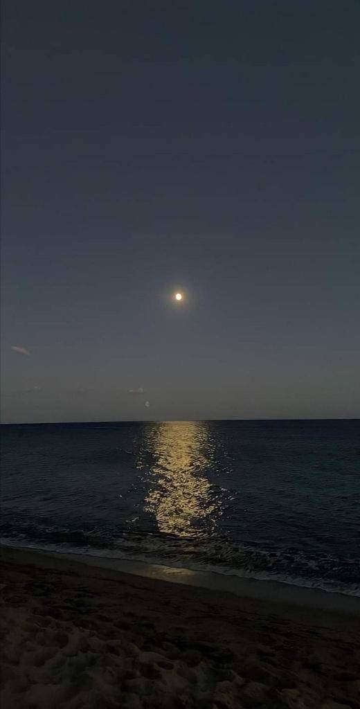 今日もひとやすみ???