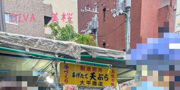 美桜(みお)(高知デリヘル-DIVA 学生から人妻迄在籍)